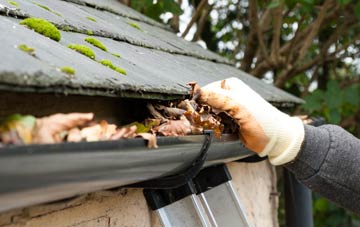 gutter cleaning Stand